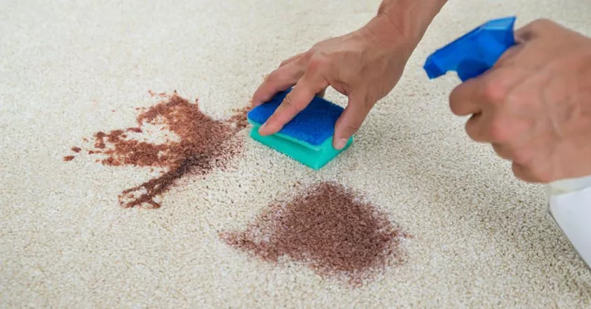 Få bort fläckar från mattor – Detta behöver du veta om fläckborttagning